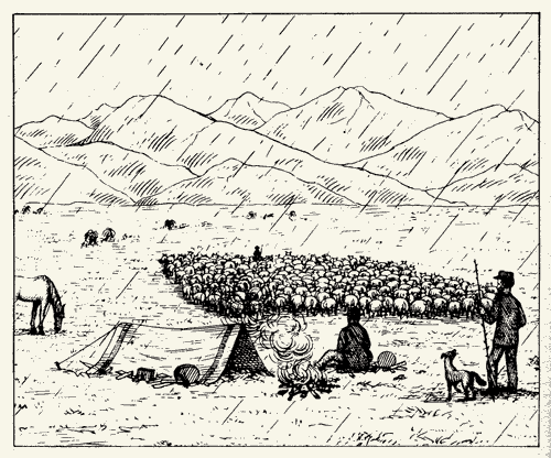 Sheep farmer’s camp, 1874