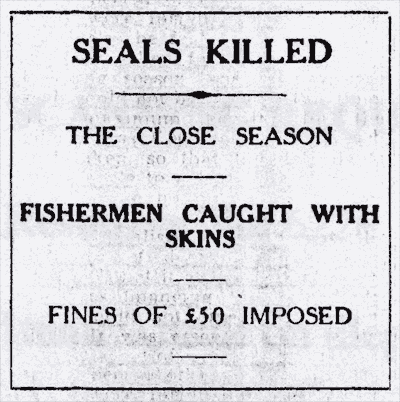 Fishermen caught with sealskins 
