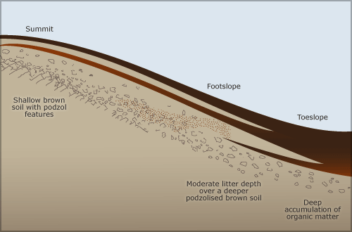 Catena soil pattern