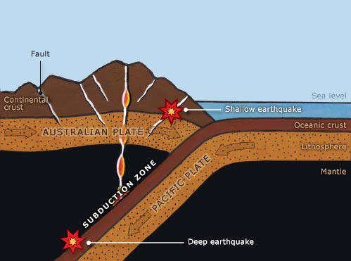 Earthquakes and volcanoes in the subduction zone