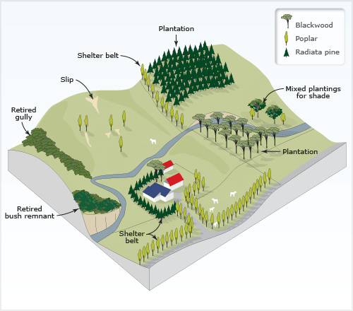 Uses of trees on a farm