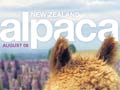 New Zealand Alpaca