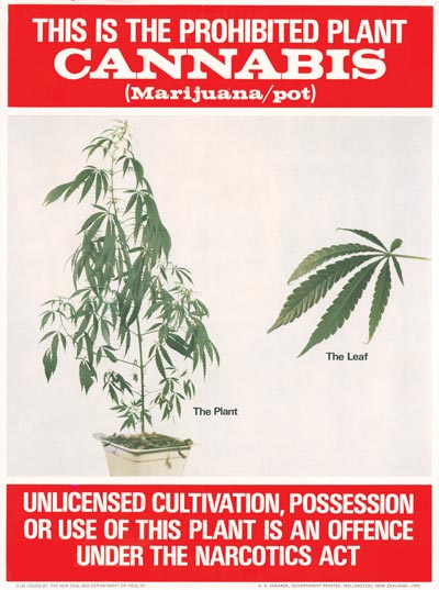 Pot poster