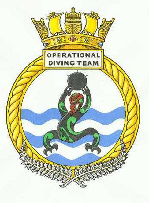 Navy diving team badge 