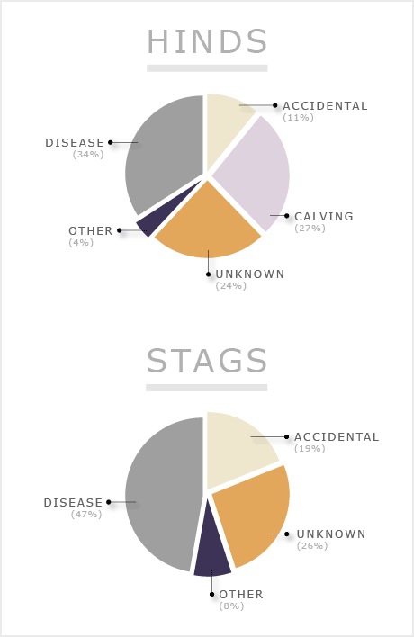 Causes of death among deer