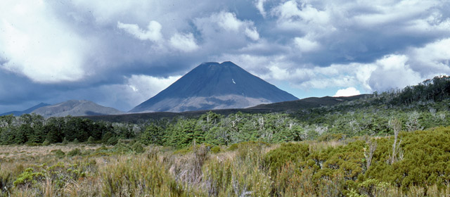 Heathland, Tongariro National Park