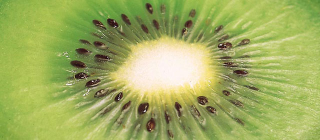 Kiwifruit flesh and seeds