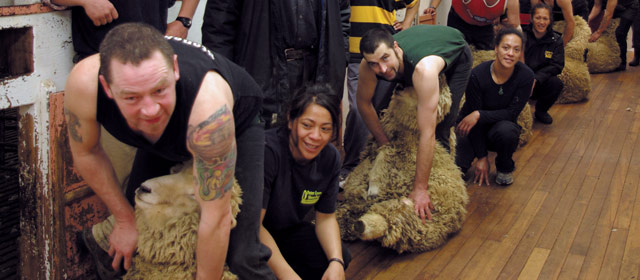 Shearing gang, 2007