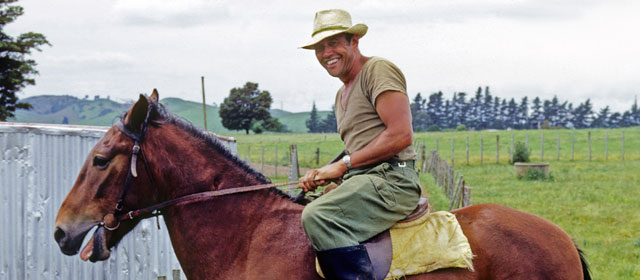 Māori dairy farmer, near Hamilton, 1969