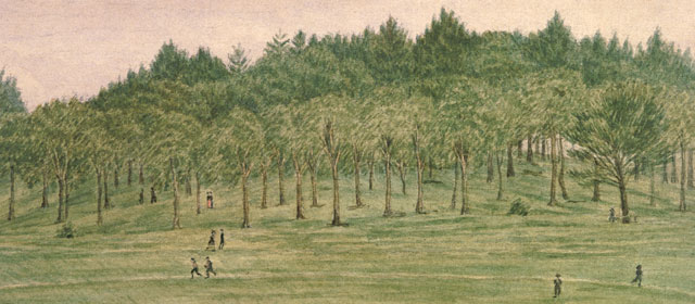 Auckland Domain, around 1890