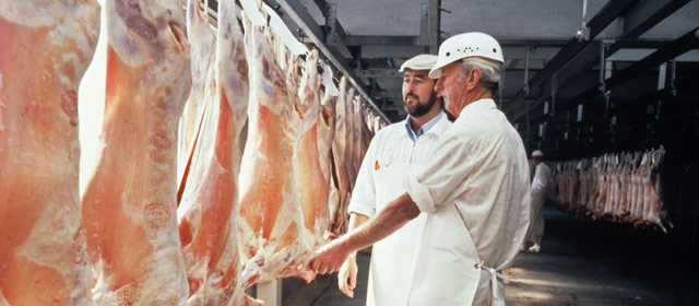 Meat inspectors at a freezing works