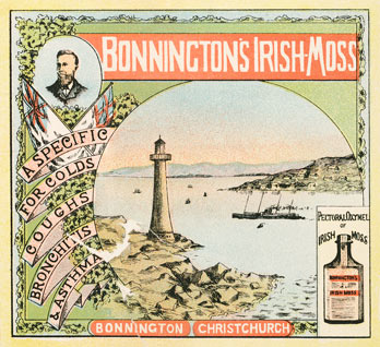 Bonnington's Irish Moss advertisement
