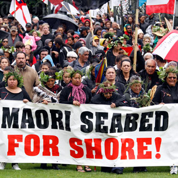 Foreshore and seabed hīkoi arrives at Parliament, 2011