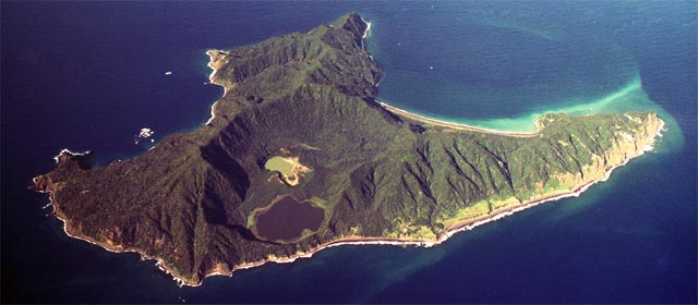 Aerial view of Raoul Island