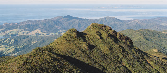 Moehau Mountain