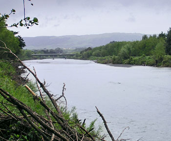 The Manawatū River