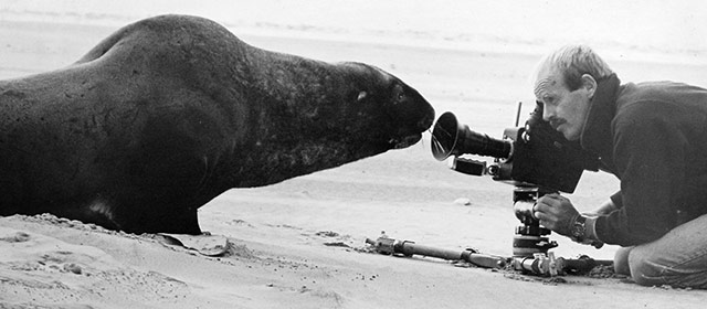 Natural History Unit camera operator Robert Brown gets up close to a sea lion