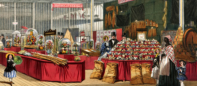 The colonial produce section of the Great Exhibition, 1851