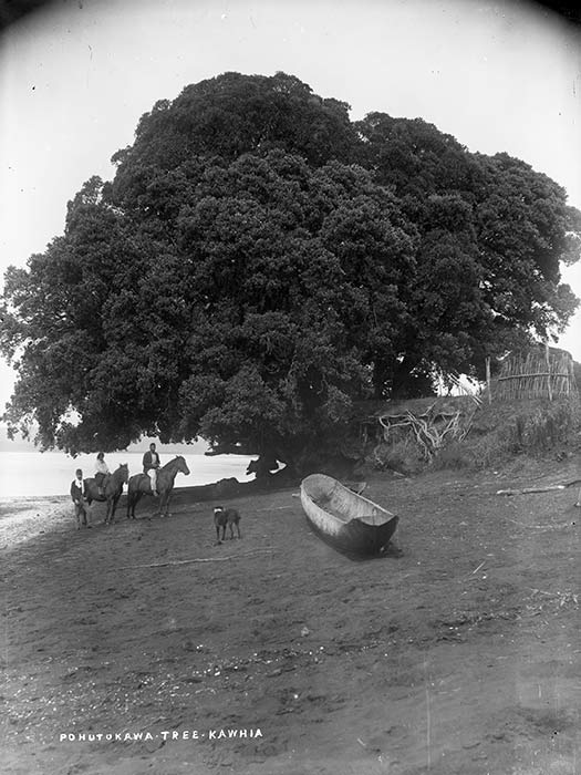 Tainui waka landing place – Waikato region – Te Ara Encyclopedia ...