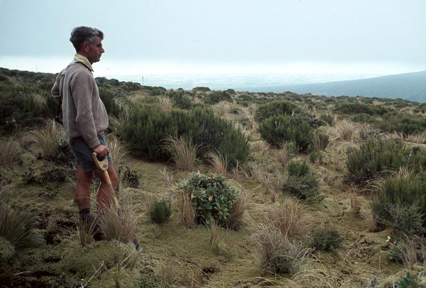 Tony Druce overlooking an expanse of low scrub, holding a spade. 