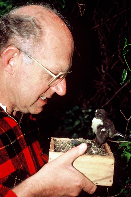 Don Merton, standing outdoors, holds s small wooden box with a nest in it and a small black and white bird perching on the edge.