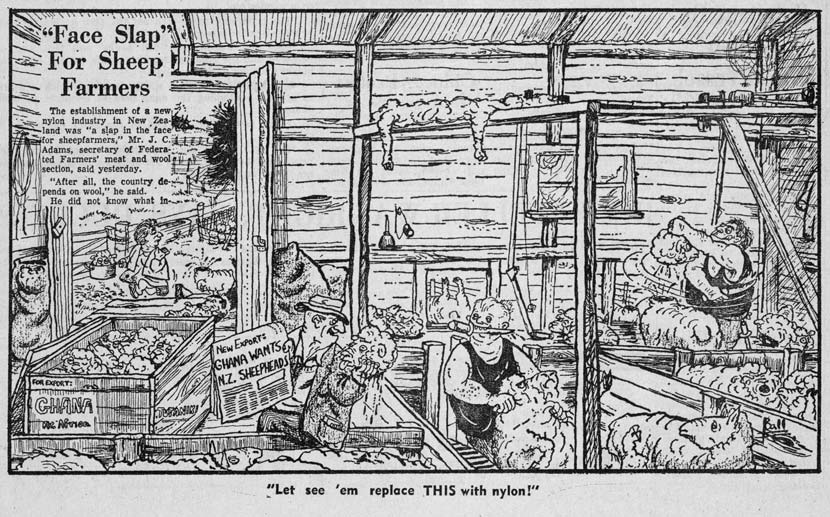 A single-frame cartoon showing the interior of a farm shed, where two men in black singlets are decapitating sheep. A third man holds a newspaper with the headline ‘New export: Ghana wants NZ sheep heads’. The cartoon is captioned ‘Let’s see ’em replace this with nylon!’ An inset excerpt from a newspaper article explains that the establishment of a nylon industry in New Zealand was ‘a slap in the face for sheepfarmers’. 