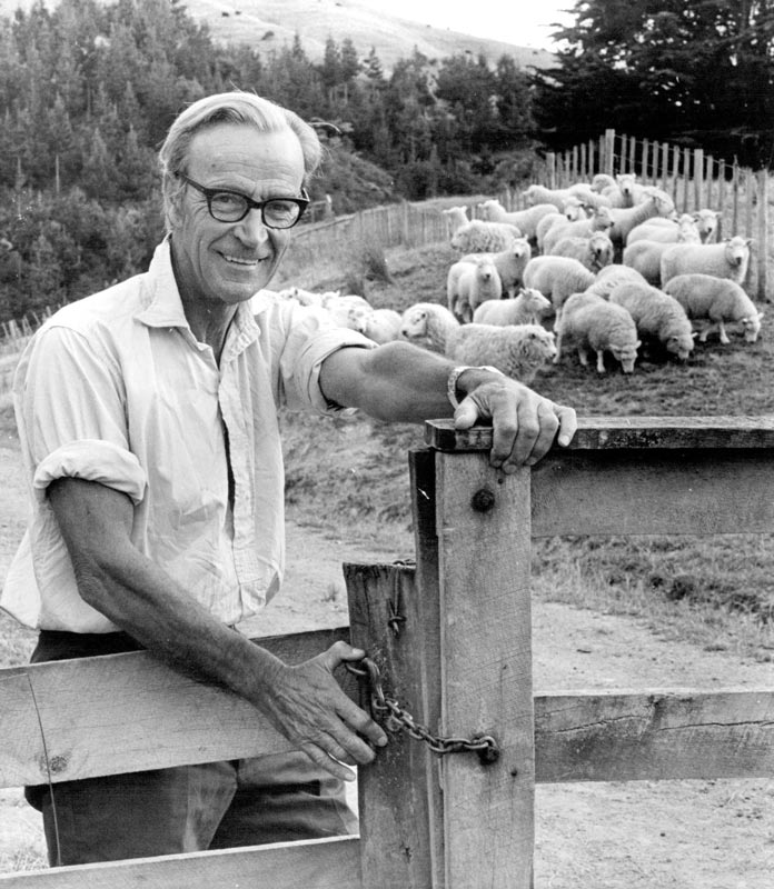 Kenneth Cumberland, in middle age, leans on a farm fence with a mob of sheep behind him.
