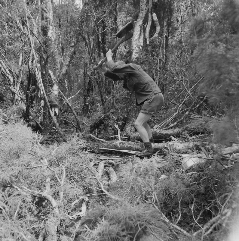 A man stands in a bush setting, with an axe raised over his head, preparing to split a log.
