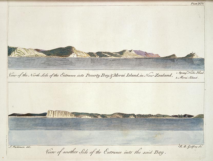 Early profile of Poverty Bay