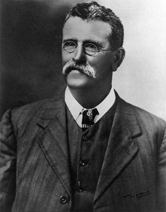 John Henry Davis Burnand, a director of sawmilling firm Ellis and Burnand from 1891 until 1919
