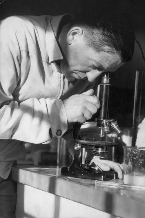 Tas McKee at work in his laboratory, probably during the 1950s