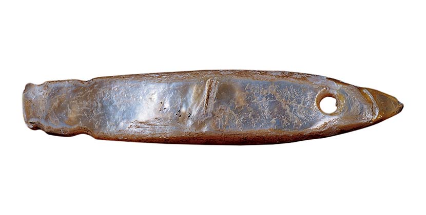 An oyster-shell fishing lure shank