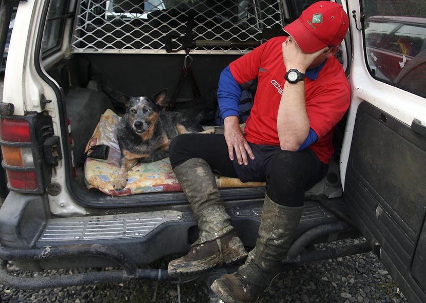 An Australian cattle dog sits in the back of a ute with a man covered in mud. 