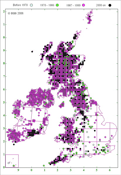Willowherb distribution in Britain
