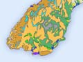 The most extensive and driest soils