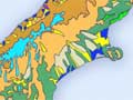 Soils of the South Island 