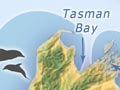 New Zealand distribution of the common dolphin