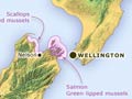Major aquaculture areas in New Zealand, 2005