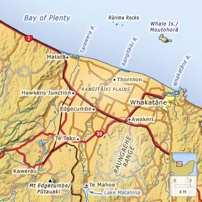 Towns of the Rangitāiki Plains