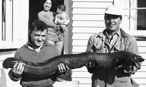 A 16-kilo longfin