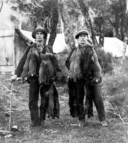 Possum trappers