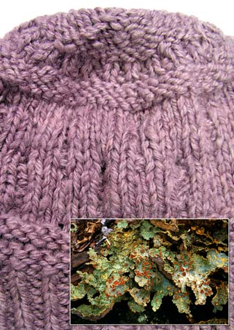 Lichen-dyed wool