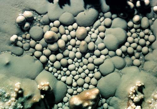 Cave pearls 