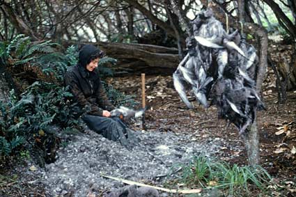 Plucking muttonbirds 