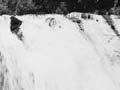 Āniwaniwa Falls