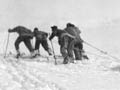 Antarctic explorers on skis