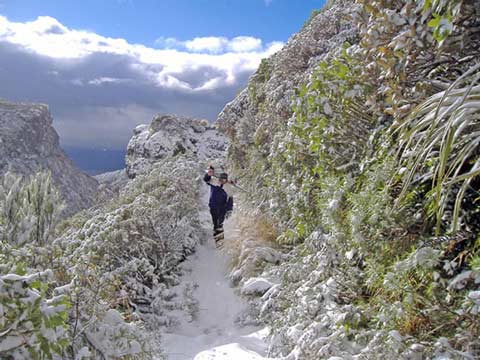 Climbing to the skifield 