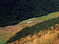 Greenstone valley, Otago