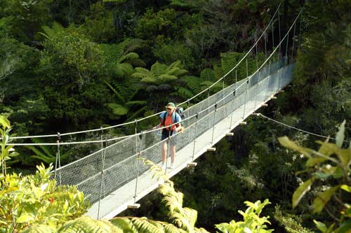 Swing bridge, Abel Tasman National Park