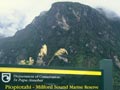 Piopiotahi–Milford Sound Marine Reserve